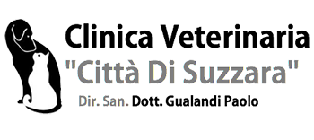 clinicaveterinariasuzzara.com